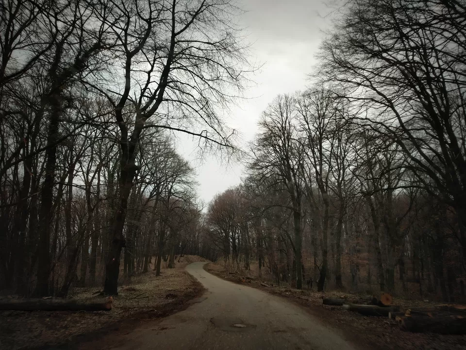 Photo of Serbia Diaries Part 2: This Road Trip is an Ultimate Idea for your Travel Bucket List!! by Nancy Johri
