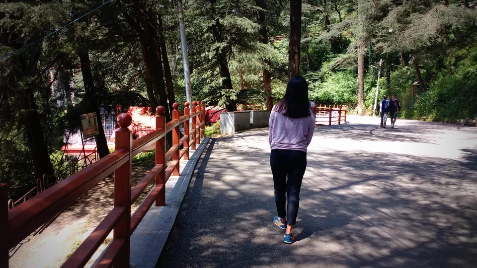 Photo of Shimla, Himachal Pradesh, India by Nancy Johri