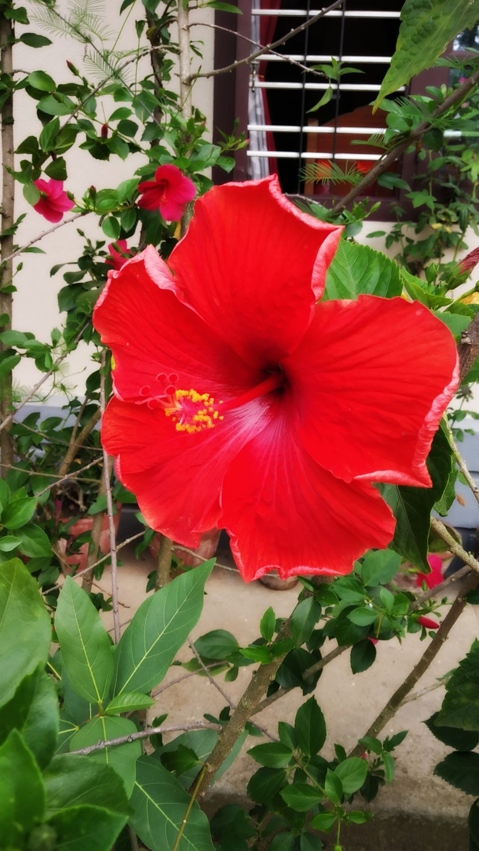 Photo of Coorg: 2 days of Coorgi Hospitality, Flora & Fauna, Coffee, and Spirituality in Scotland of India by Nancy Johri