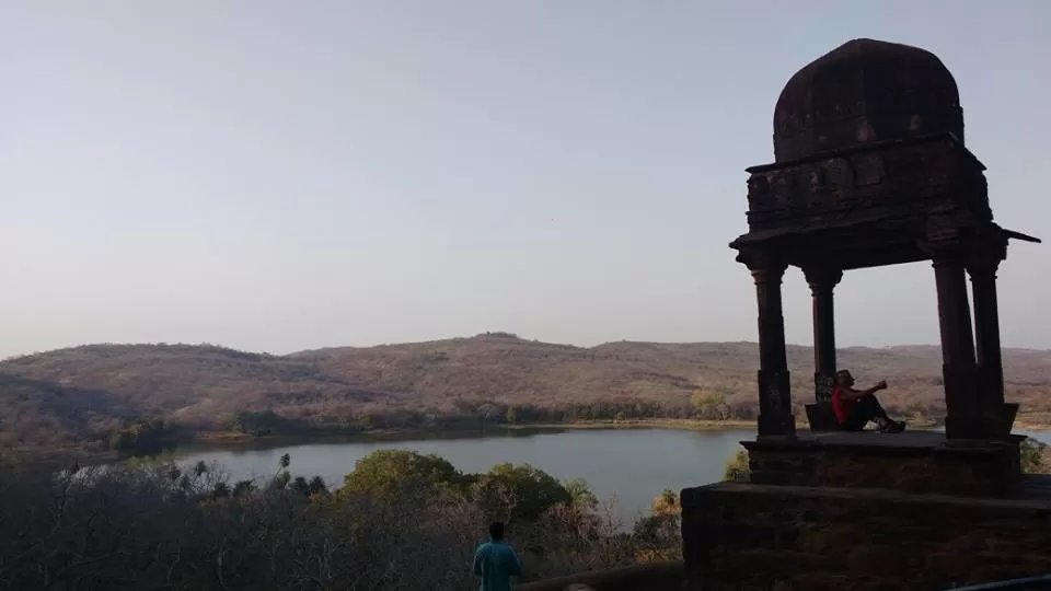 Photo of How to Spot a Tiger in Ranthambore National Park? by Nancy Johri