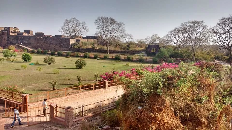 Photo of How to Spot a Tiger in Ranthambore National Park? by Nancy Johri