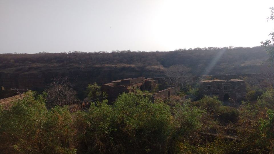 Photo of How to Spot a Tiger in Ranthambore National Park? by Nancy Johri