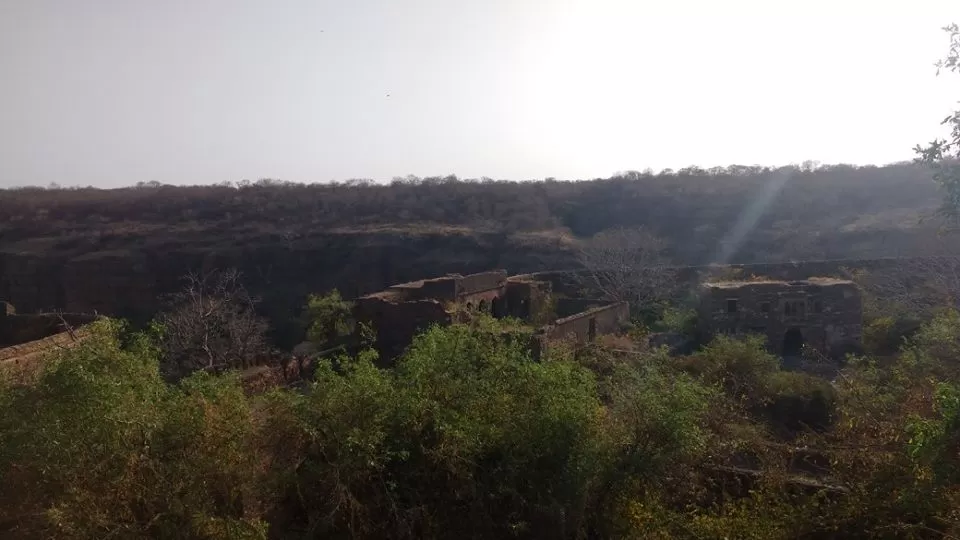 Photo of How to Spot a Tiger in Ranthambore National Park? by Nancy Johri