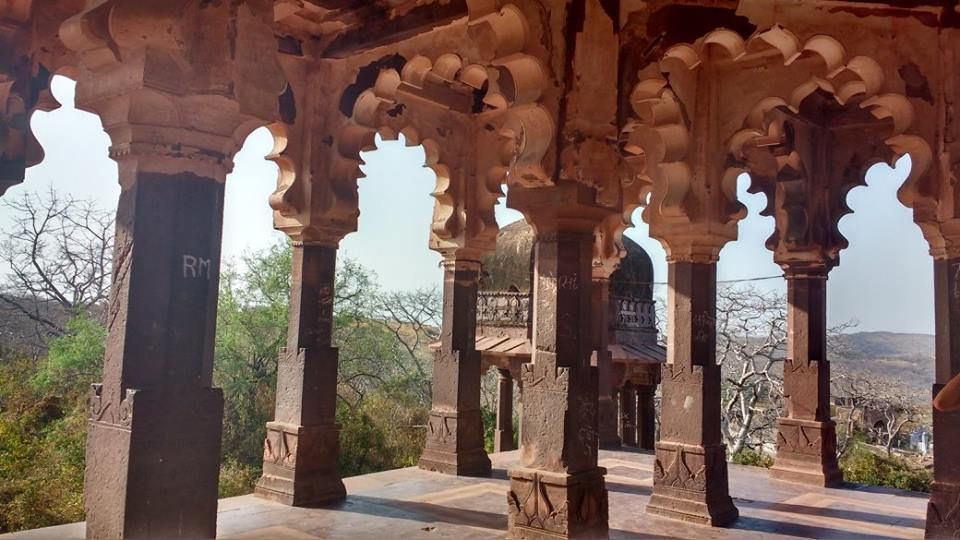 Photo of How to Spot a Tiger in Ranthambore National Park? by Nancy Johri