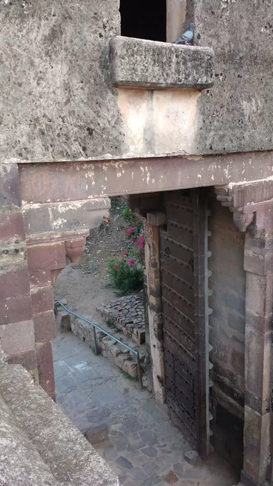 Photo of How to Spot a Tiger in Ranthambore National Park? by Nancy Johri