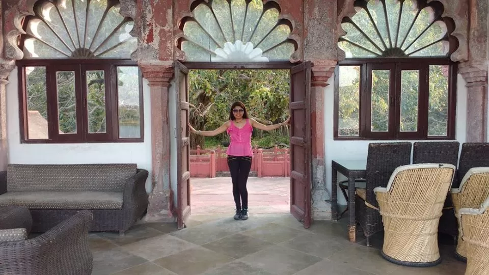 Photo of How to Spot a Tiger in Ranthambore National Park? by Nancy Johri