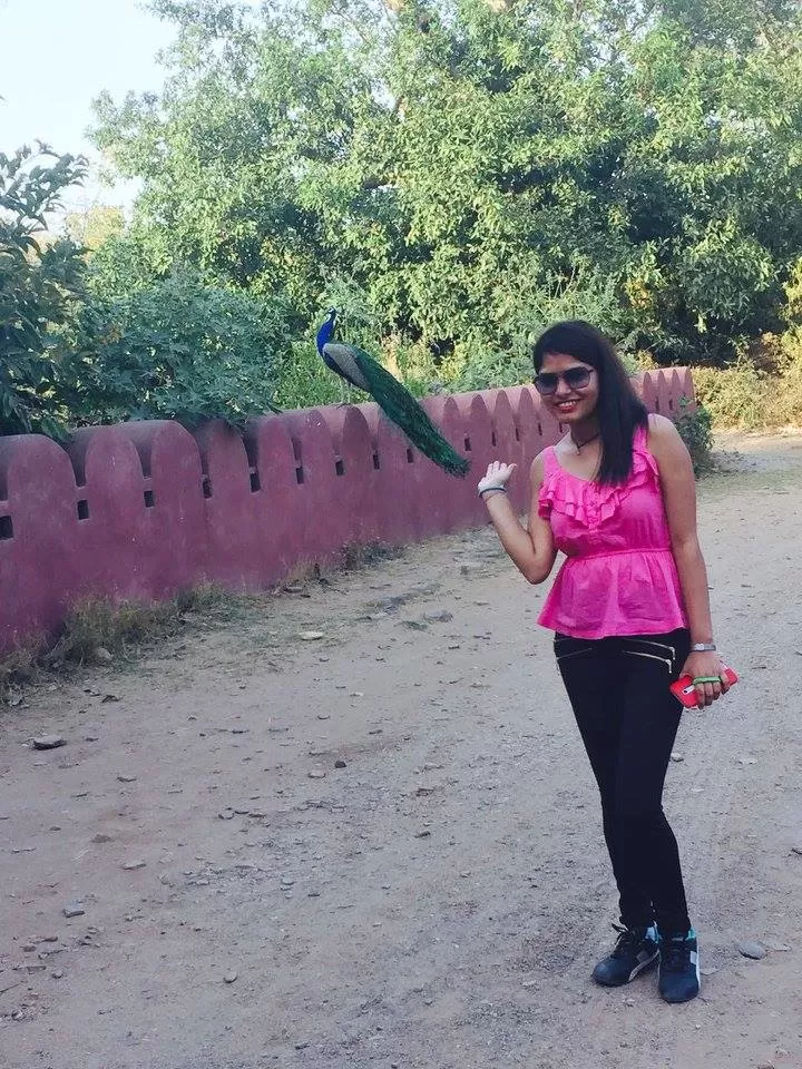 Photo of How to Spot a Tiger in Ranthambore National Park? by Nancy Johri