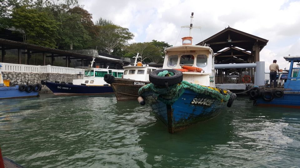 Photo of The Ultimate Chek Jawa Walkthrough by Lynn Marimo