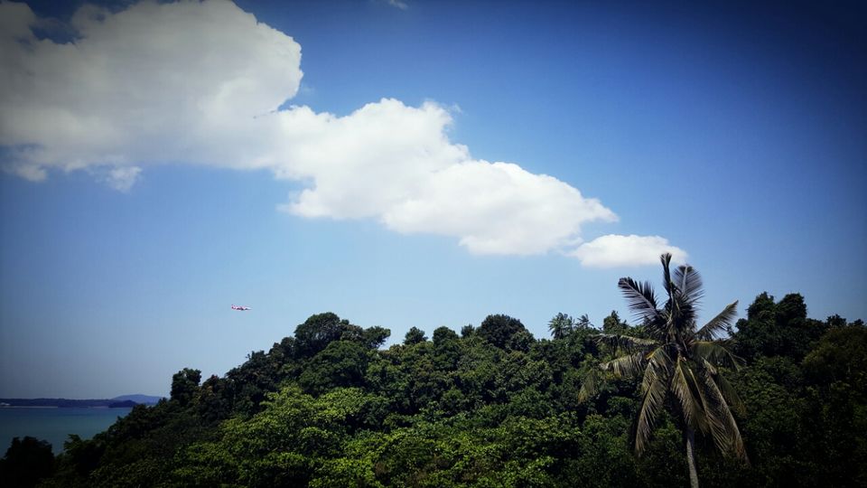 Photo of Chek Jawa, Singapore by Lynn Marimo