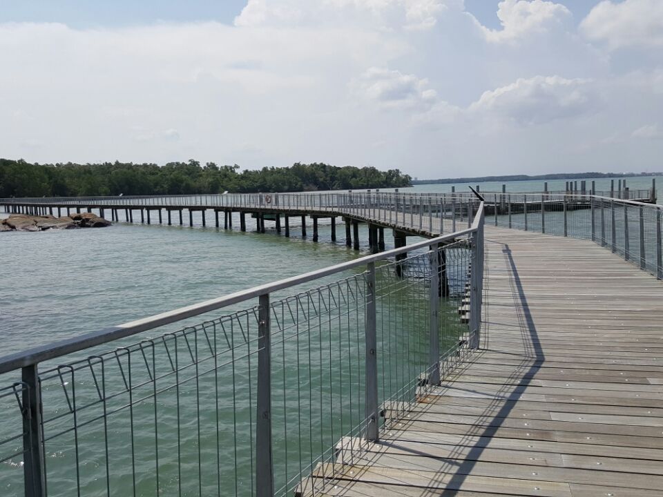 Photo of Chek Jawa Trail, Singapore by Lynn Marimo