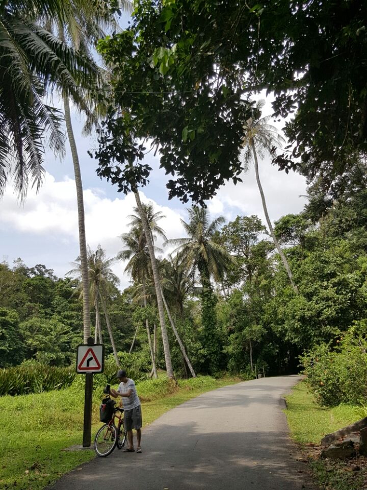Photo of The Ultimate Chek Jawa Walkthrough by Lynn Marimo