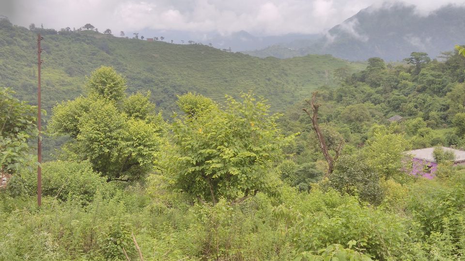 Photo of Shiva made it heavily heaven 2/15 by Bharat Sharma
