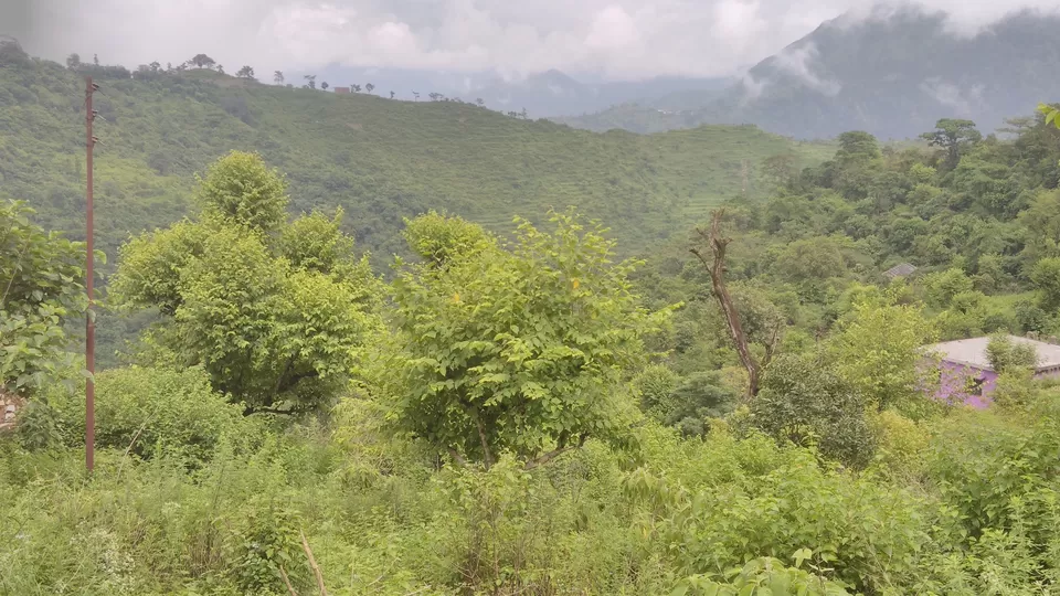 Photo of Neelkanth mahadev rest point by Bharat Sharma