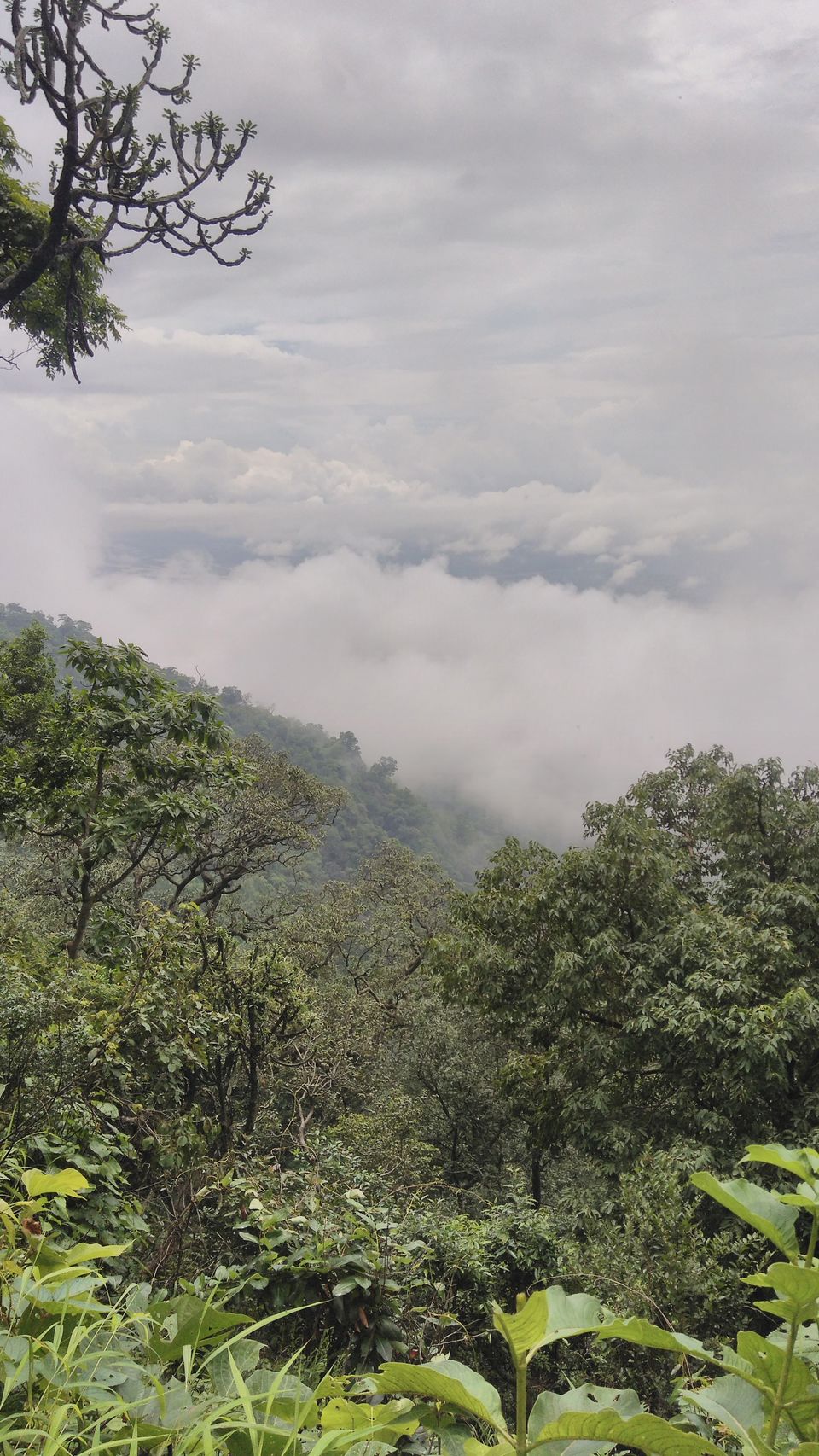 Photo of Shiva made it heavily heaven 4/15 by Bharat Sharma