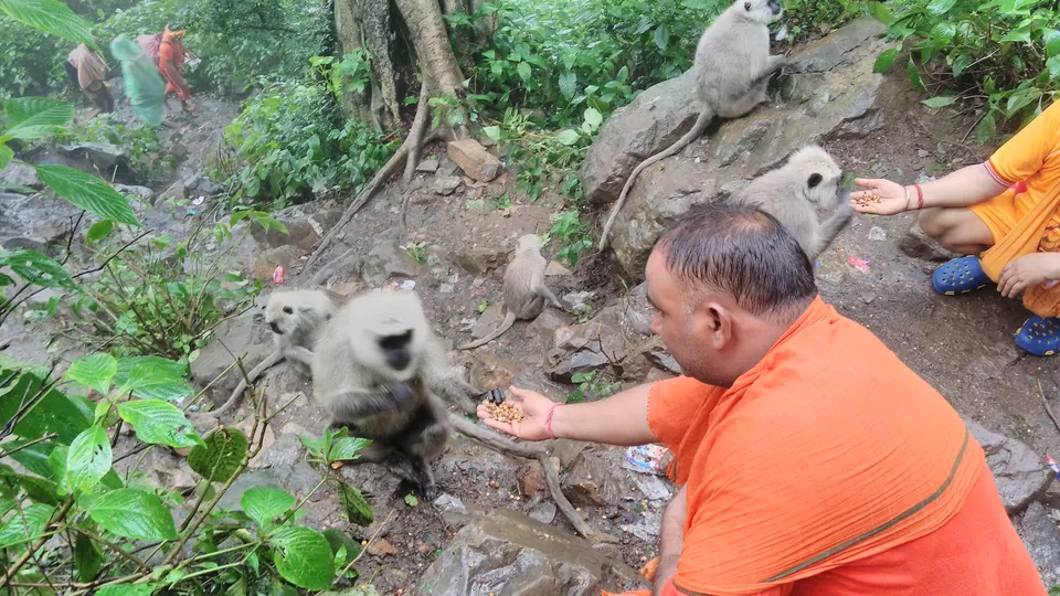 Photo of Langooron ki dawat by Bharat Sharma