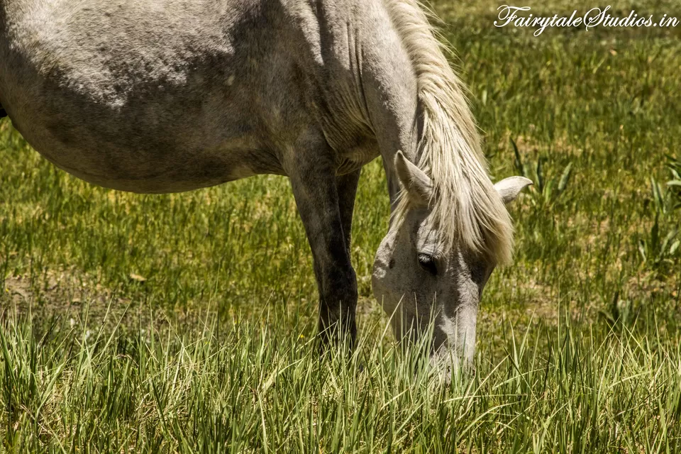 Photo of Rangdum by Fairytale Studios