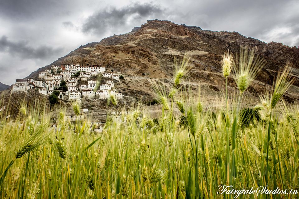 Photo of The Zanskar Odyssey - Exploring Padum (Day 5 of the trip) by Fairytale Studios