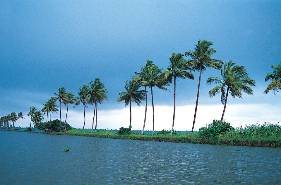Photo of Some of the amazing places in Kerala by Nisar