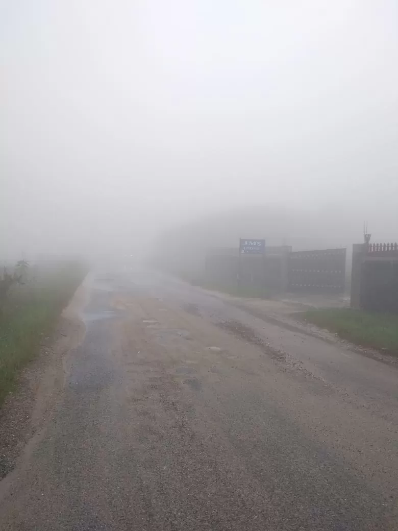 Photo of Jingkieng Nongriat Double Decker Living Root Bridge, Nongriat, Meghalaya, India by trinabh dowerah