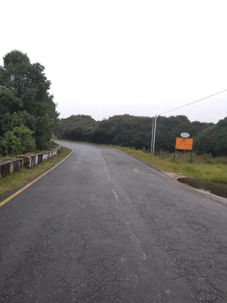 Photo of Jingkieng Nongriat Double Decker Living Root Bridge, Nongriat, Meghalaya, India by trinabh dowerah