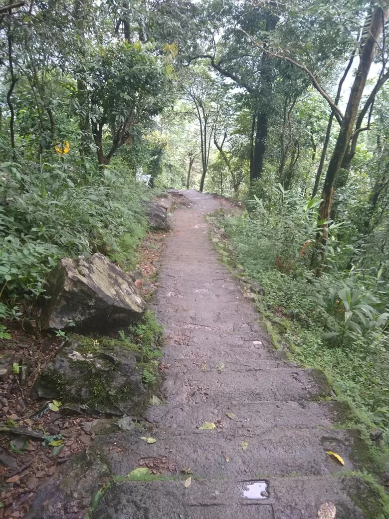 Photo of Jingkieng Nongriat Double Decker Living Root Bridge, Nongriat, Meghalaya, India by trinabh dowerah