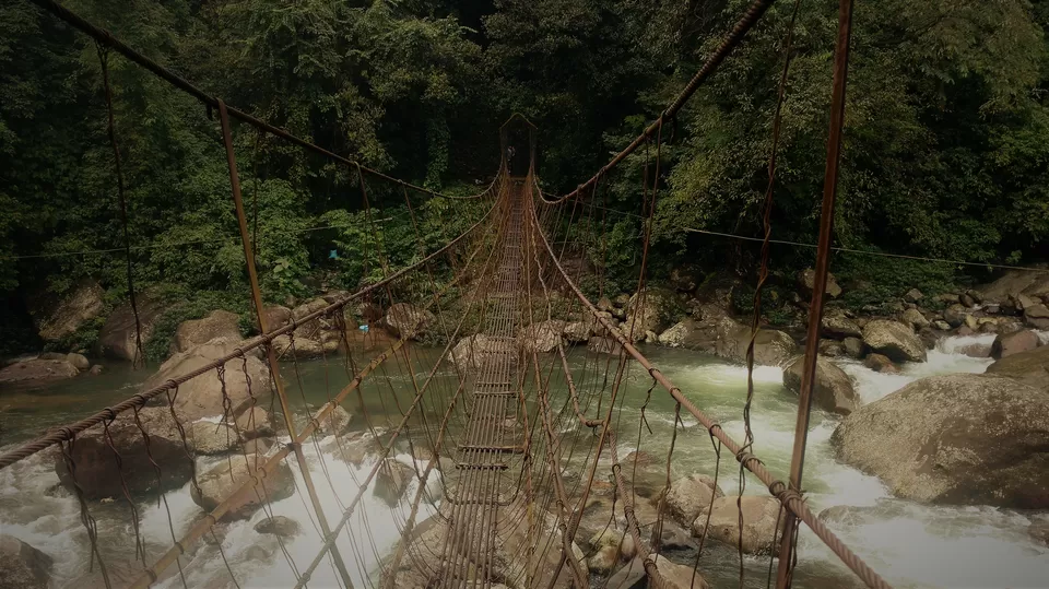 Photo of Jingkieng Nongriat Double Decker Living Root Bridge, Nongriat, Meghalaya, India by trinabh dowerah