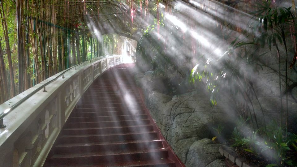 Photo of Spectacular Thailand- Beyond the beaches and parties !! by trinabh dowerah