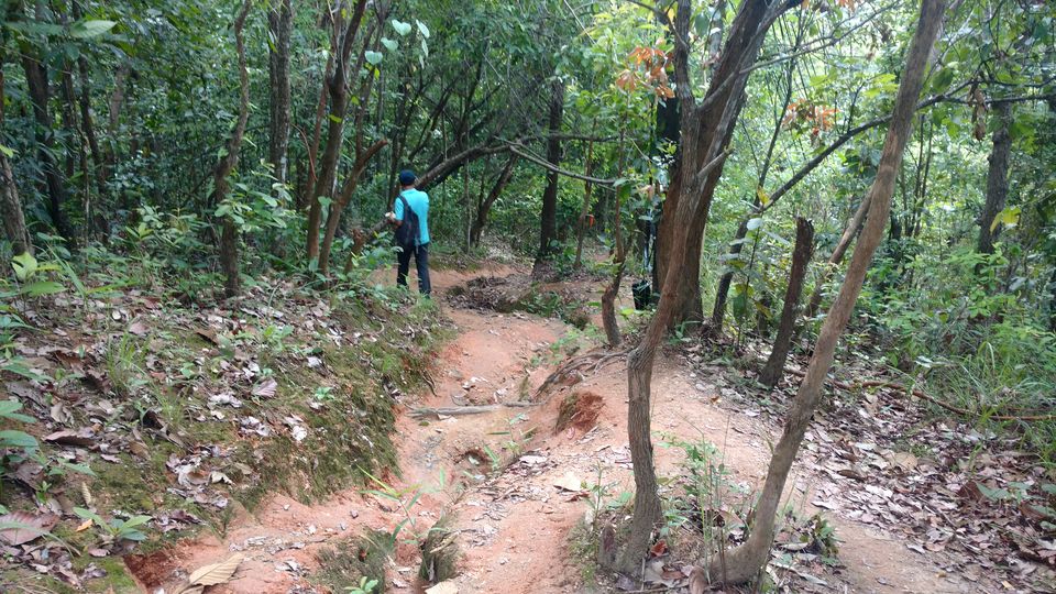 Photo of Wat Pha Lat Hike (Monk's trail), Suthep, Mueang Chiang Mai District, Chiang Mai, Thailand by trinabh dowerah