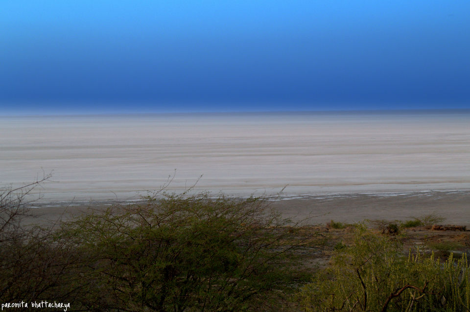 Photo of A road trip to Kutch 5/19 by Paromita
