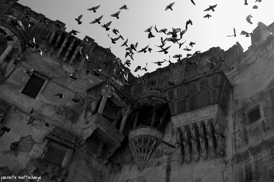 Photo of A road trip to Kutch 7/19 by Paromita