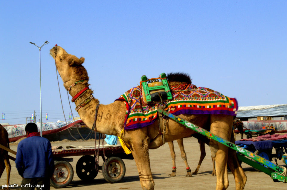 Photo of A road trip to Kutch 12/19 by Paromita