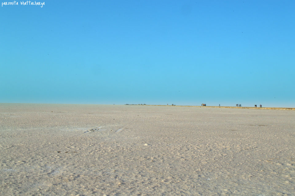 Photo of A road trip to Kutch 14/19 by Paromita
