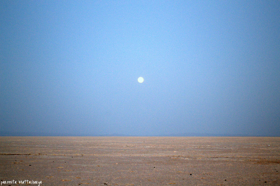 Photo of A road trip to Kutch 16/19 by Paromita