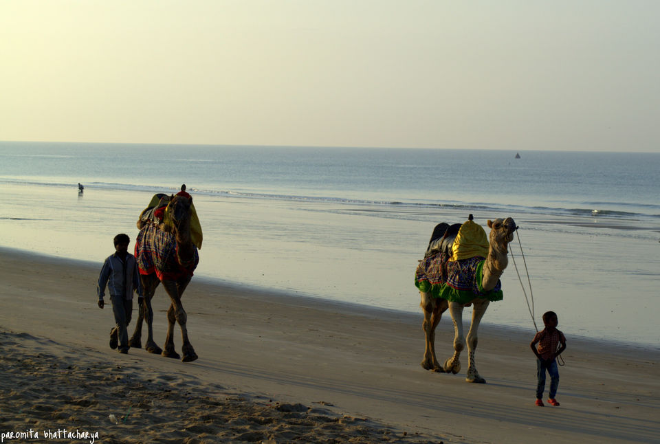 Photo of A road trip to Kutch 18/19 by Paromita