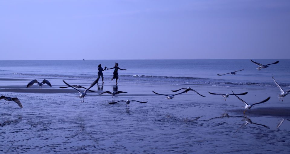 Photo of A road trip to Kutch 19/19 by Paromita