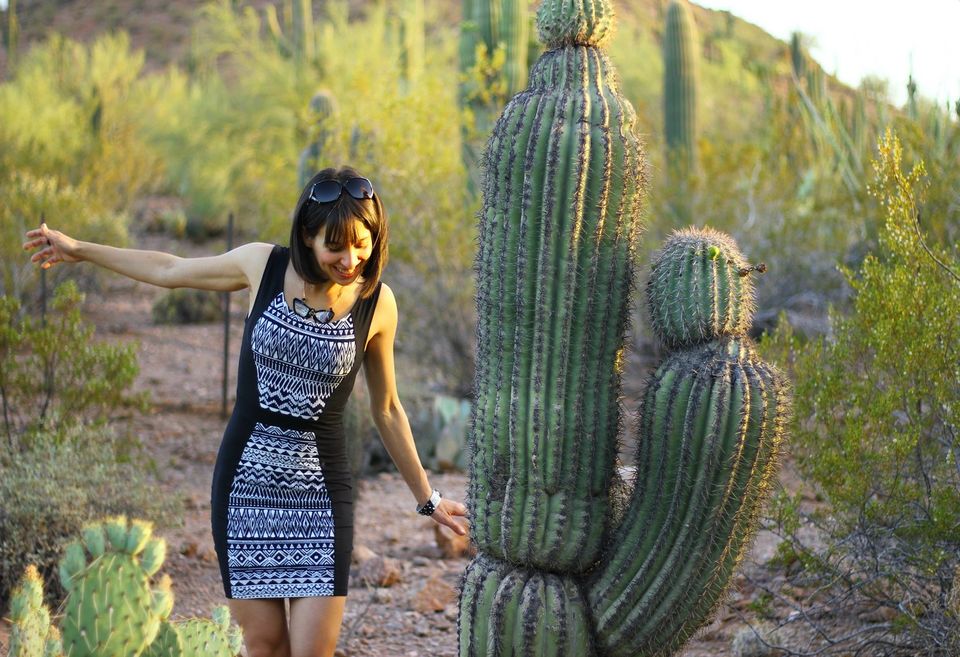 Photo of The Desert Botanical Garden in Phoenix, AZ 8/23 by Ambra Torelli