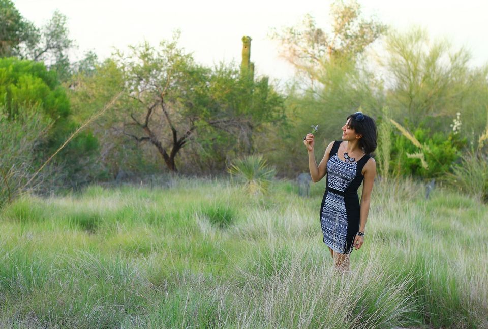 Photo of The Desert Botanical Garden in Phoenix, AZ 10/23 by Ambra Torelli