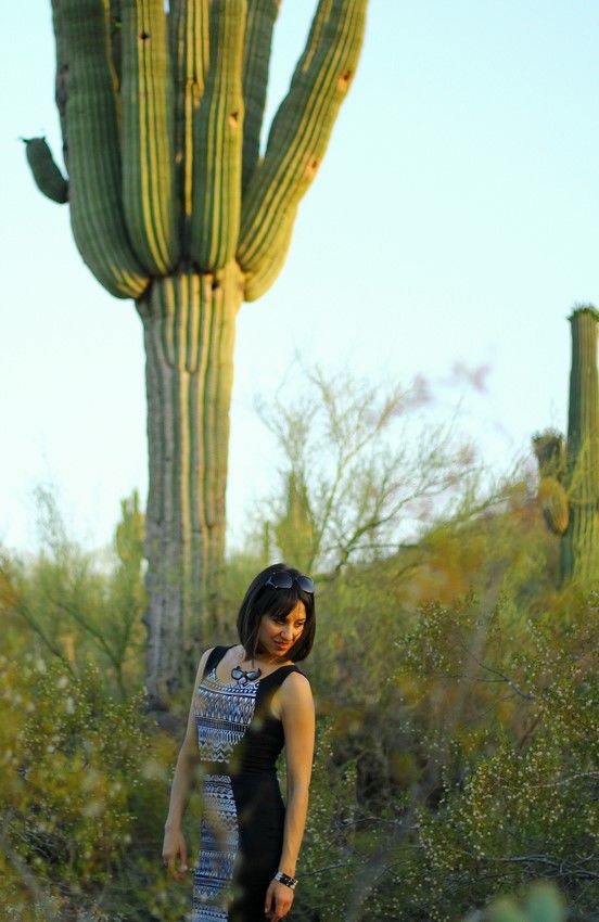 Photo of The Desert Botanical Garden in Phoenix, AZ 16/23 by Ambra Torelli