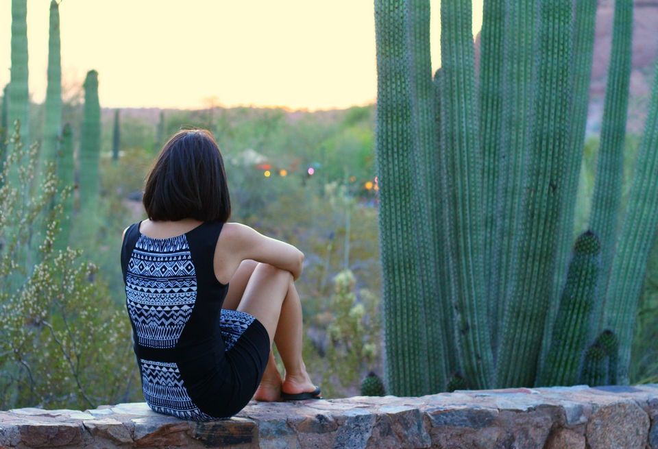 Photo of The Desert Botanical Garden in Phoenix, AZ 22/23 by Ambra Torelli