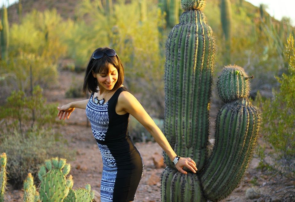 Photo of The Desert Botanical Garden in Phoenix, AZ 23/23 by Ambra Torelli