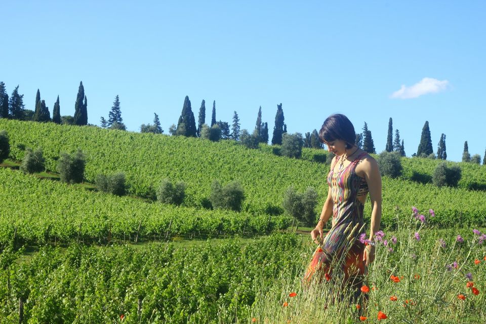 Photo of CastelloBanfi Il Borgo, Luxury Retreat in Montalcino Italy 15/17 by Ambra Torelli