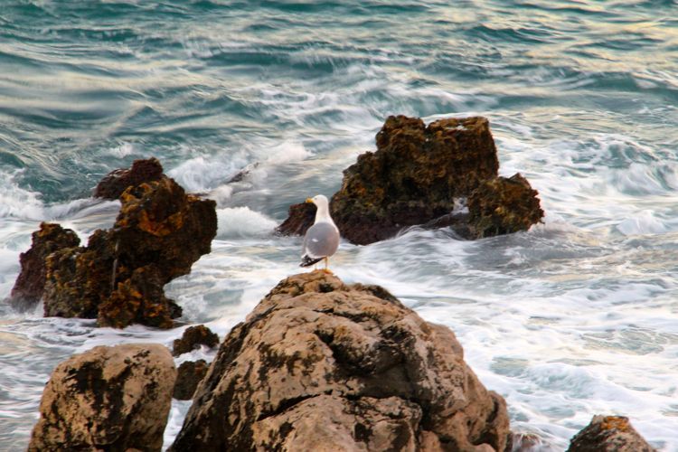 Photo of The French Riviera and La Joie de Vivre!! - Little Bites of Beauty 8/8 by Ambra Torelli