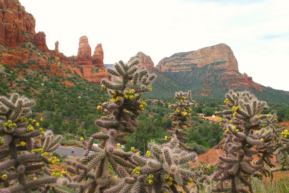 Photo of 7 Things To Do in Sedona - Little Bites of Beauty 3/12 by Ambra Torelli