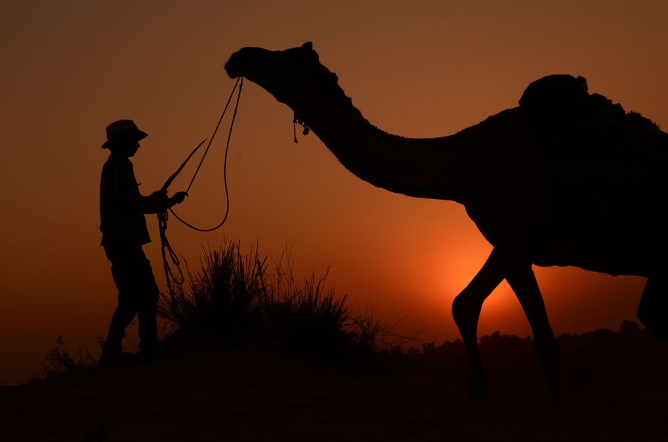 Photo of The month 'Pushkar' gets really alive ... 2/2 by Kartik Gupta