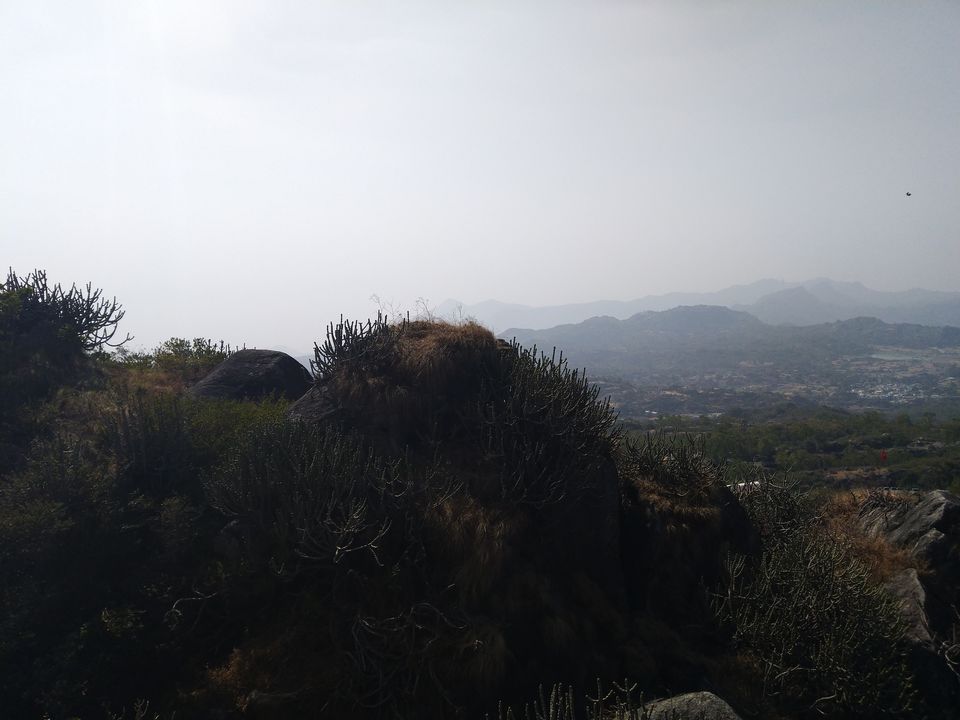 Photo of Mount Abu, Rajasthan, India by Snehal