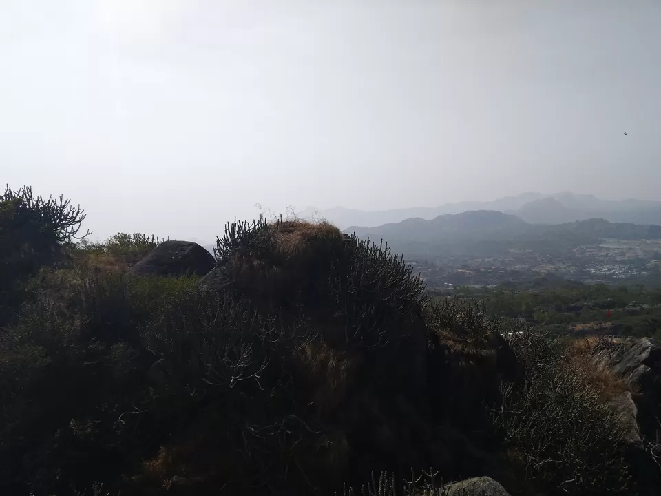 Photo of Mount Abu, Rajasthan, India by Snehal