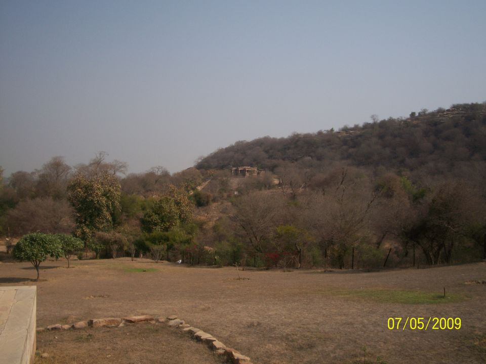 Photo of Padavali, Madhya Pradesh, India by Snehal