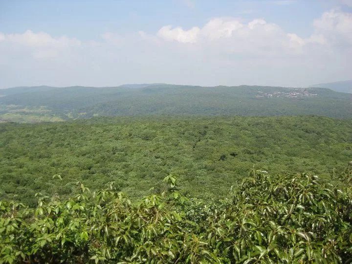 Photo of Elephant Point, Mahableshwar, Maharashtra, India by Snehal 