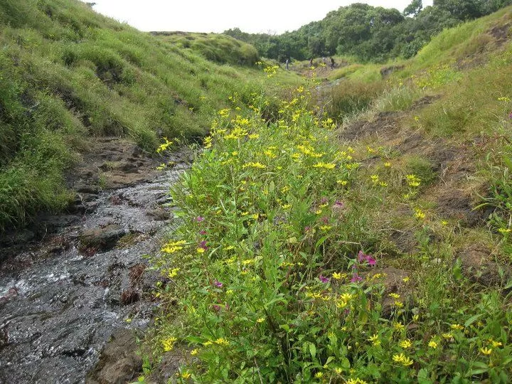 Photo of Elephant Point, Mahableshwar, Maharashtra, India by Snehal 