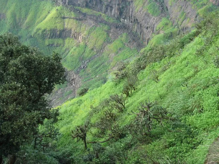 Photo of Elephant Point, Mahableshwar, Maharashtra, India by Snehal 